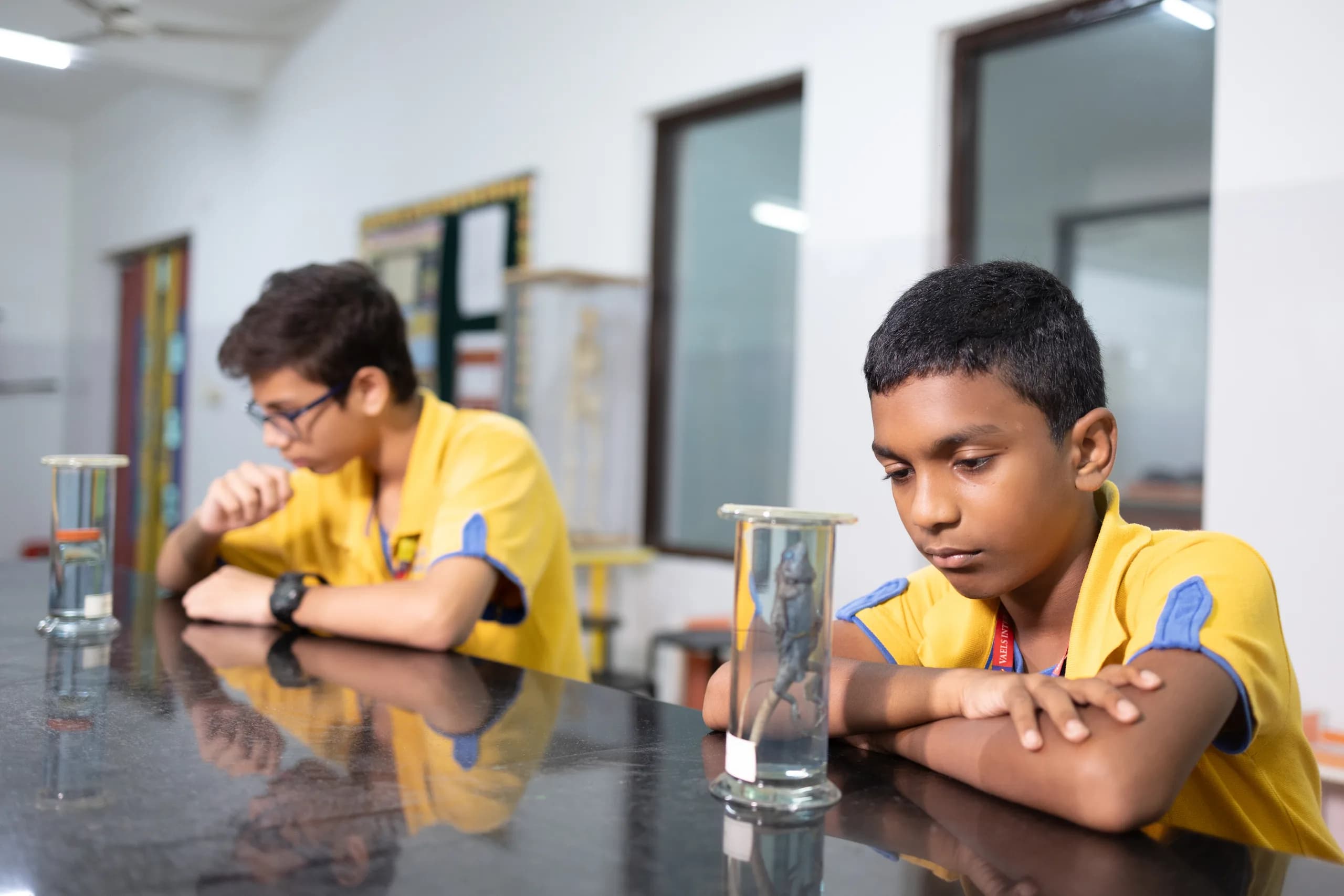 A student discovering a finding through their biology lab work