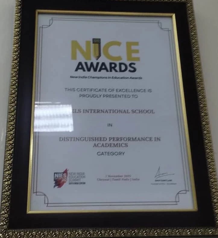 NICE Innovative School Award
