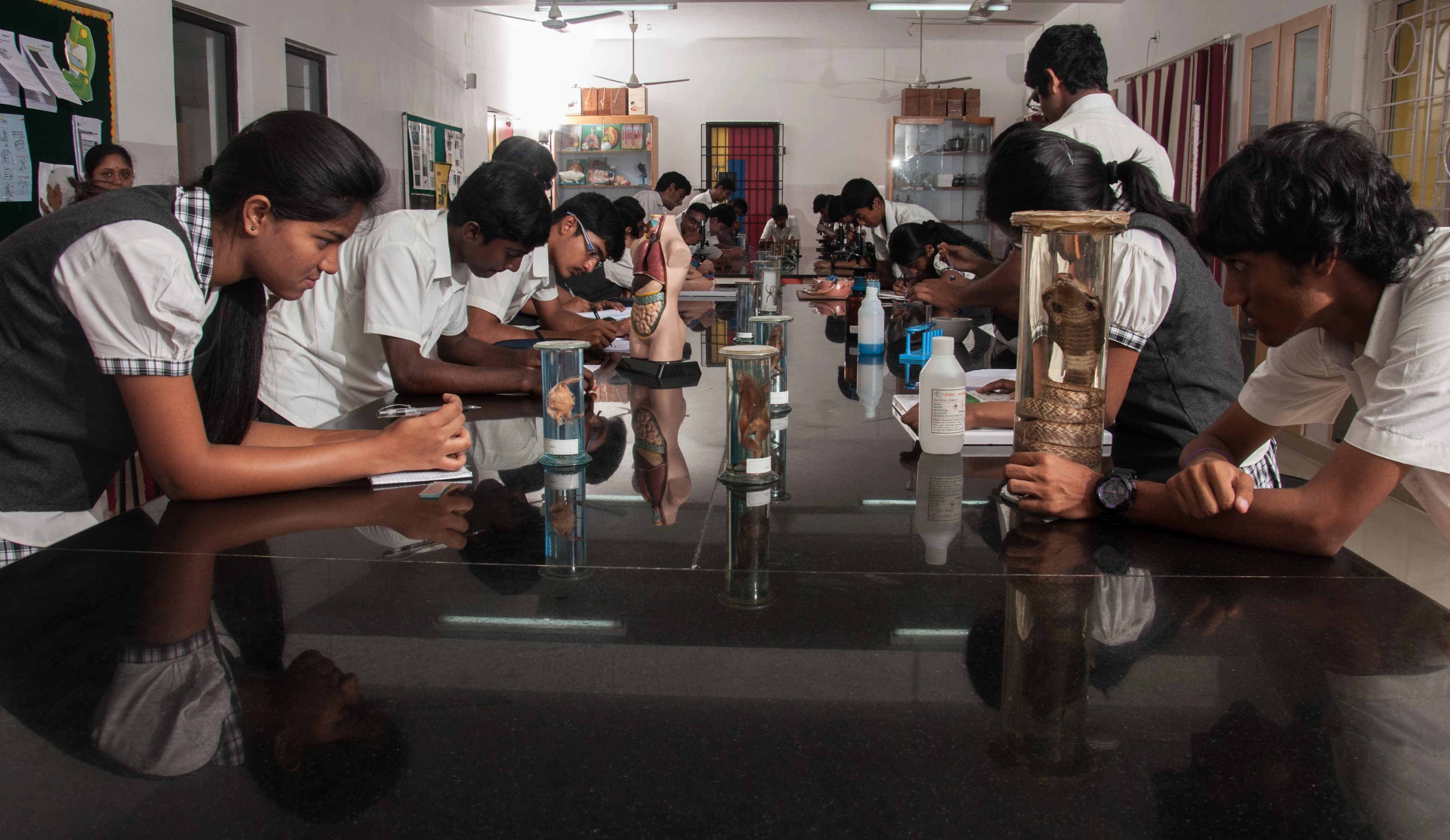 Biology Laboratory — Vaels International School